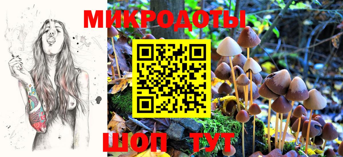 Галлюциногенные грибы Psilocybine cubensis Сатка