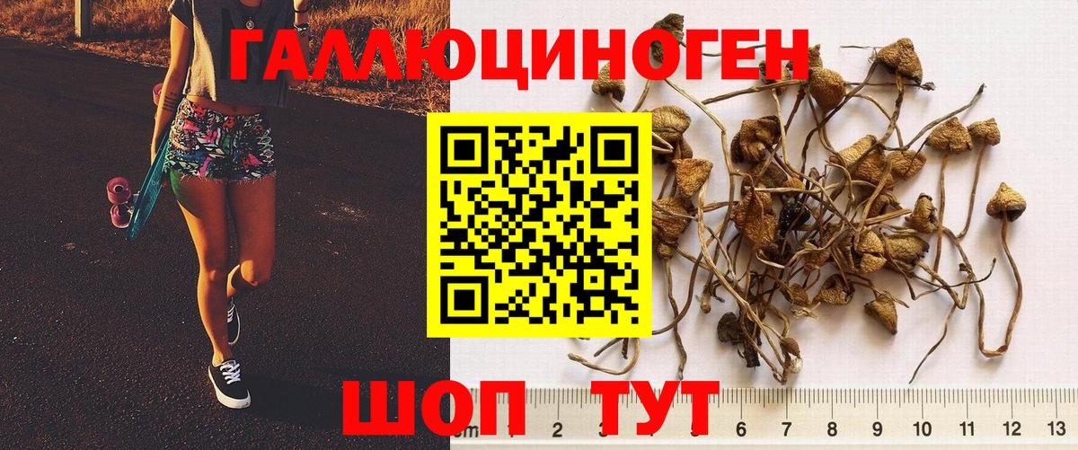 Галлюциногенные грибы MAGIC MUSHROOMS  Вход с VPN  Галлюциногенные грибы Magic Shrooms  Сатка 